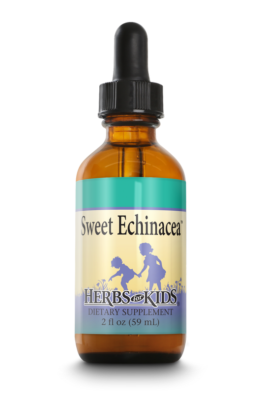 Sweet Echinacea