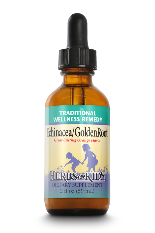 Echinacea/GoldenRoot Blackberry
