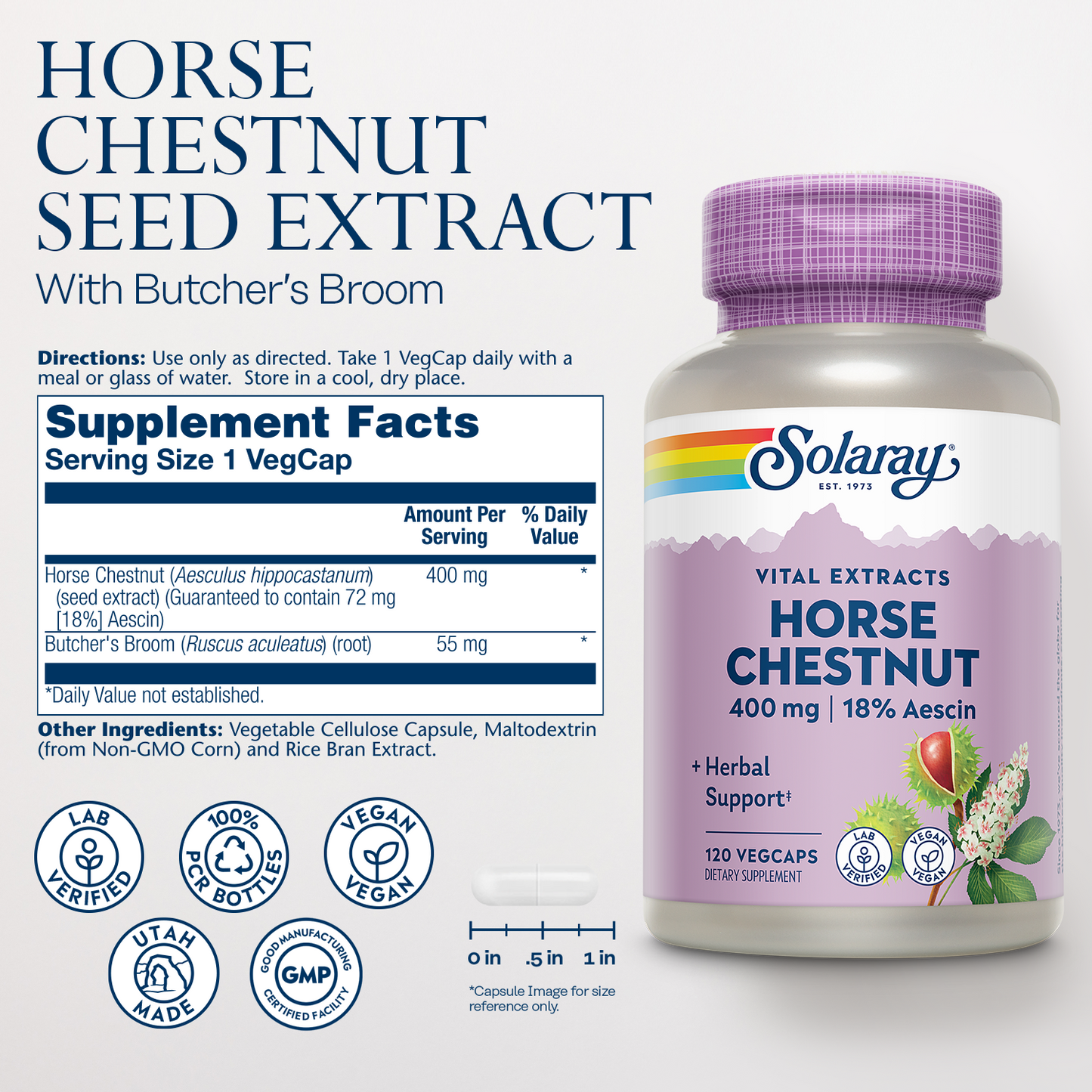 Solaray Horse Chestnut Seed Extract 400mg - Standardized 72 mg Aescin 18% With 55 mg of Butchers Broom - Leg Vein and Blood Circulation Supplements - Vegan, 120 Servings, 120 VegCaps