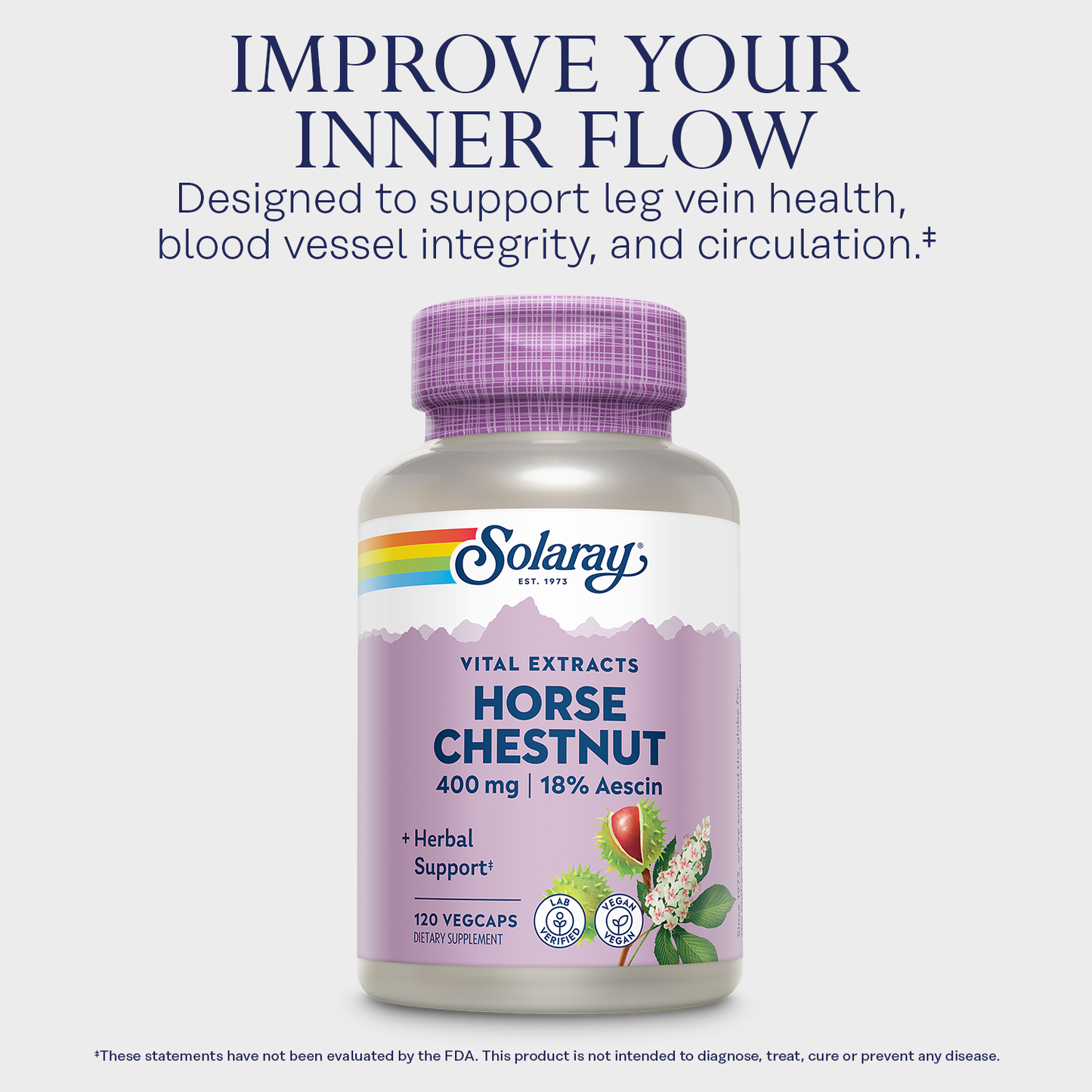 Solaray Horse Chestnut Seed Extract 400mg - Standardized 72 mg Aescin 18% With 55 mg of Butchers Broom - Leg Vein and Blood Circulation Supplements - Vegan, 120 Servings, 120 VegCaps