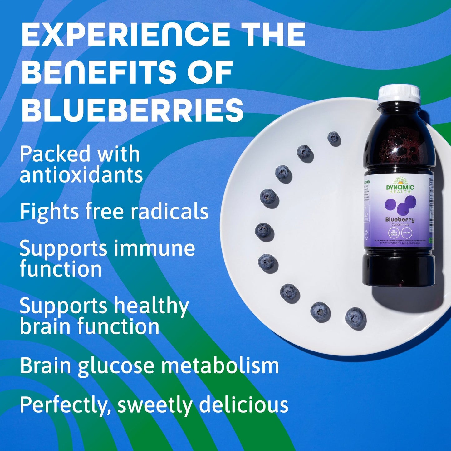 Dynamic Health Blueberry Concentrate, 100% Concentrate, Unsweetened, No Additives, Brain Function, Antioxidant Support, Vegan, Gluten Free, Non-GMO, 16 Fl oz