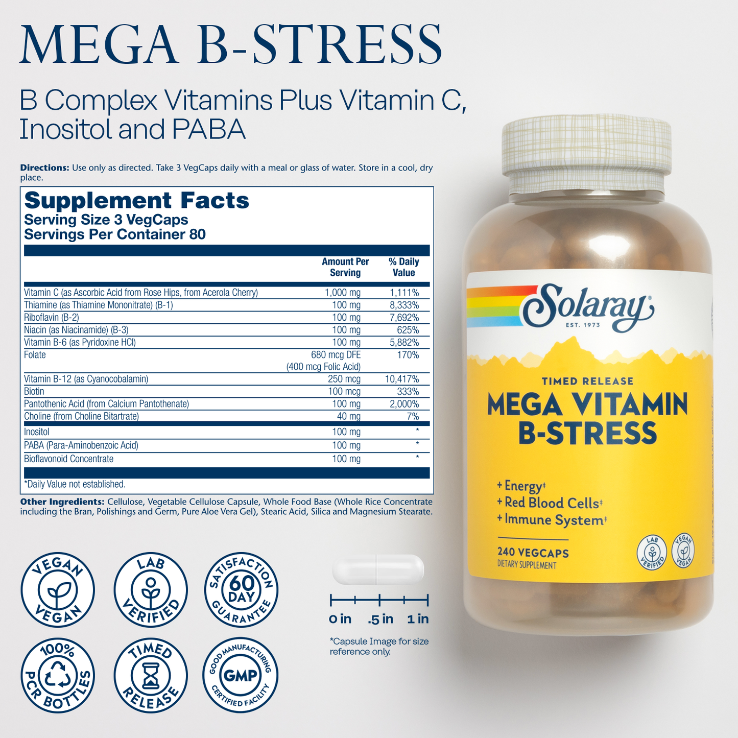 Solaray Mega Vitamin B-Stress, Timed-Release Vitamin B Complex with 1000 mg of Vitamin C for Stress, Energy, Red Blood Cell & Immune Support, Vegan, 60-Day Guarantee,  (240 CT)