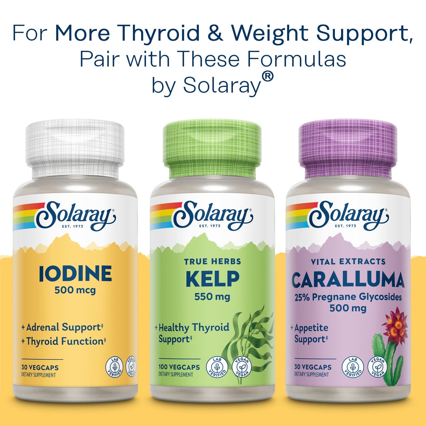 Solaray Bladderwrack Seaweed 580 mg Healthy Thyroid Balance and Weight Management Support Non-GMO & Vegan 100 VegCaps
