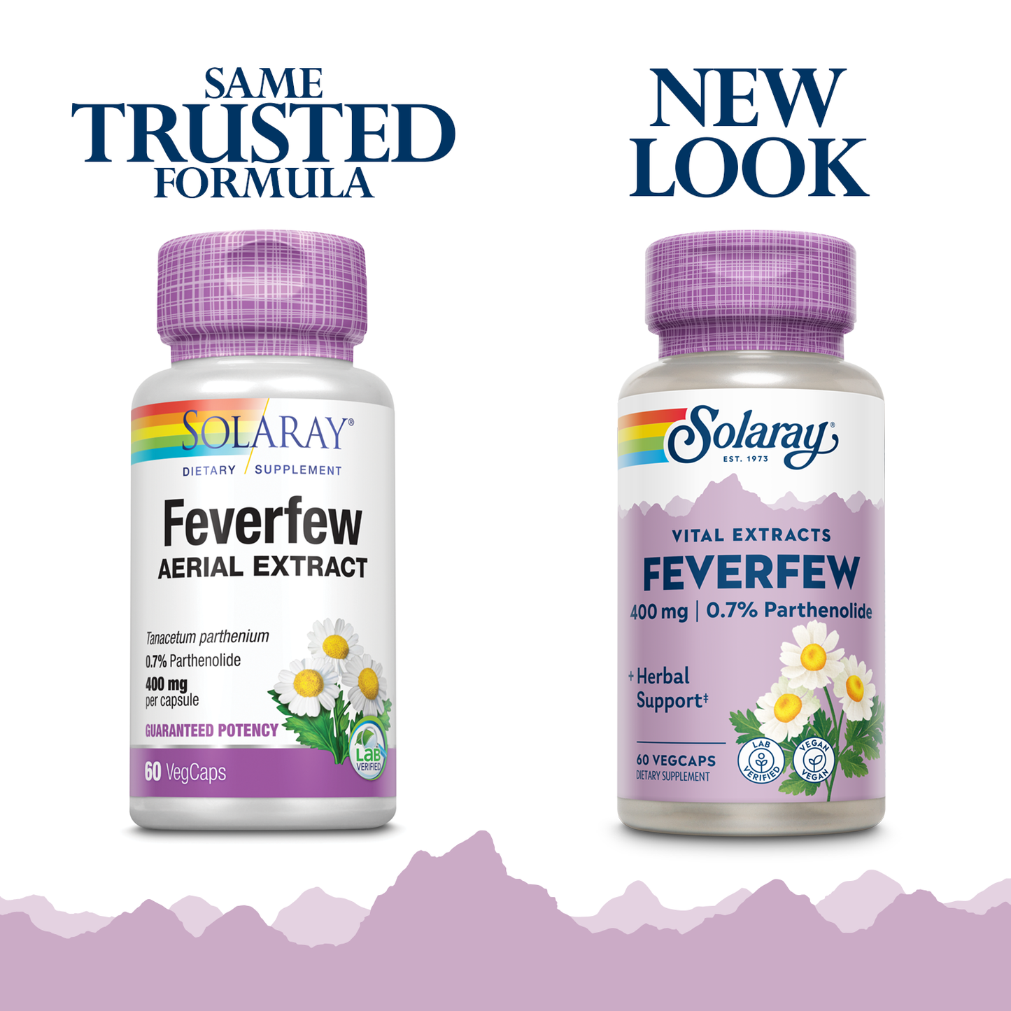 Solaray Feverfew Extract 400 mg | Healthy Circulation & Blood Vessels, Head Comfort Support | Non-GMO | 60 VegCaps