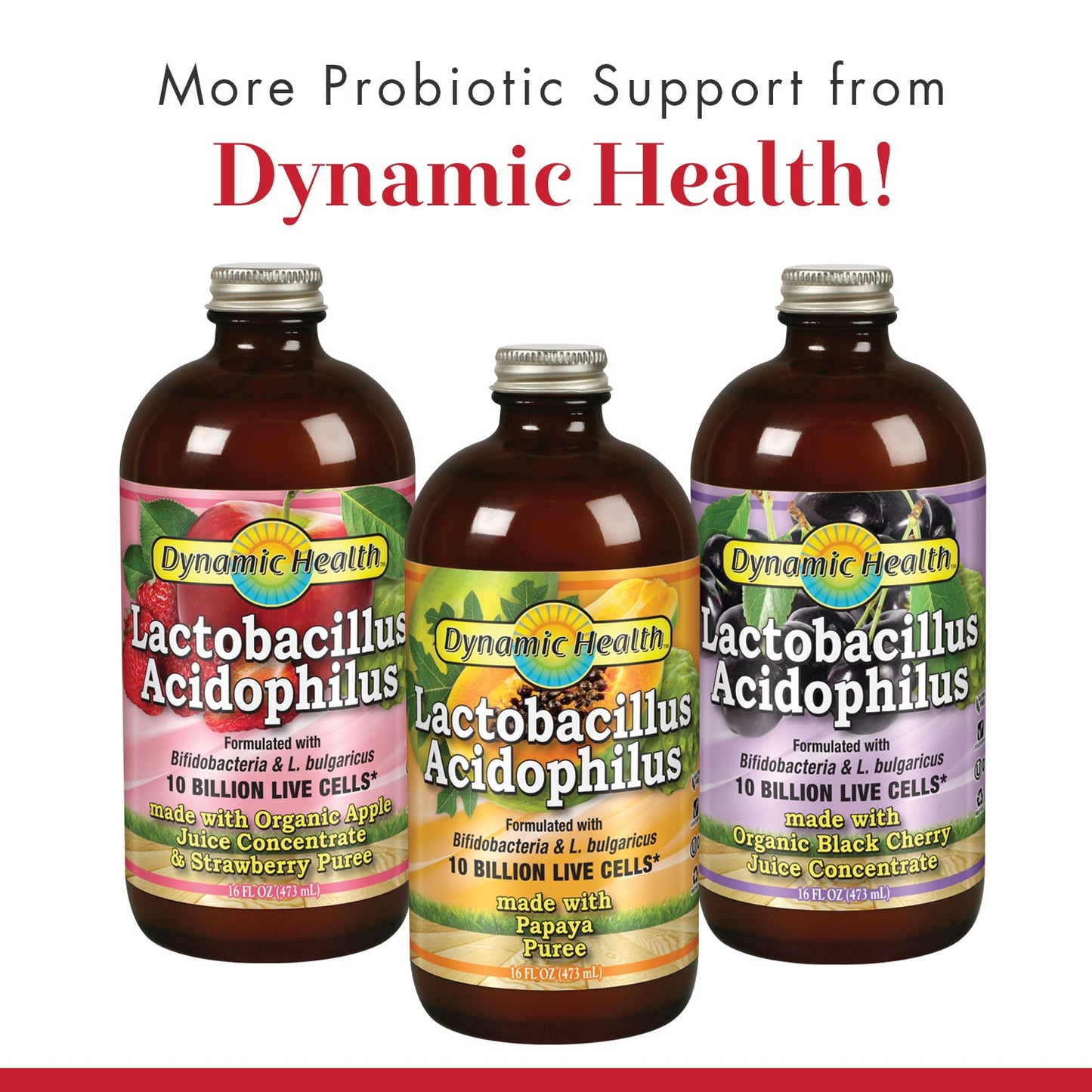 Dynamic Health Lactobacillus Acidophilus, Apple Strawberry | Probiotic | 10 Billion CFU | 16 Servings, 16 FL OZ