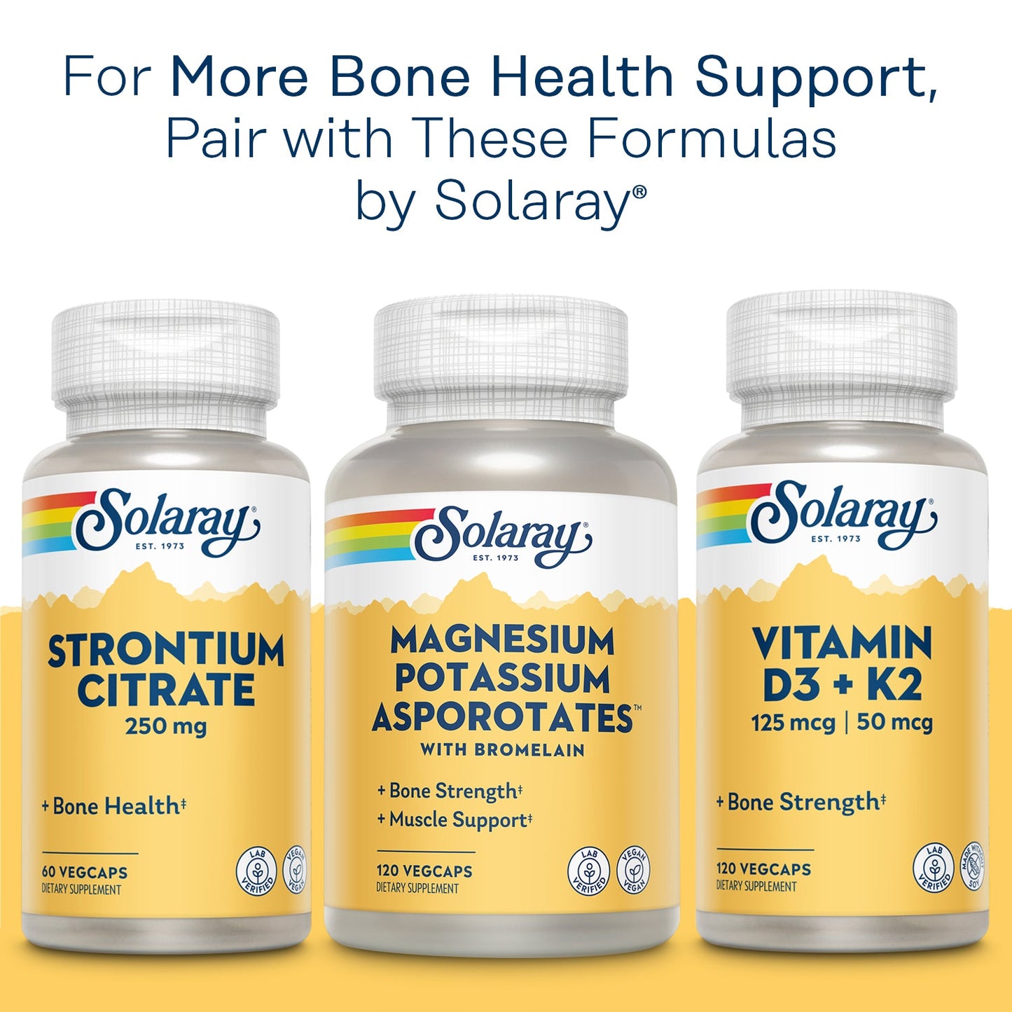 Solaray Calcium Magnesium Zinc Supplement, with Cal & Mag Citrate, Strong Bones & Teeth Support, Easy to Swallow Capsules, 60 Day Money Back Guarantee (250 CT)