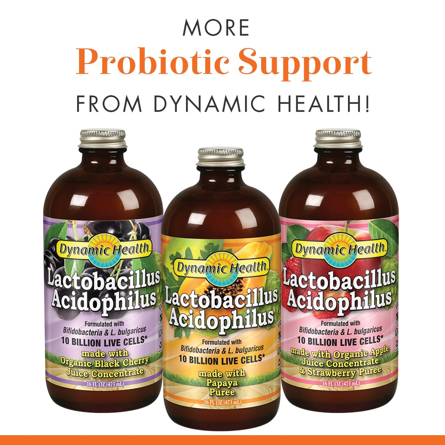 Dynamic Health Lactobacillus Acidophilus, Papaya Puree | Probiotic Intestinal Health | 10 Billion CFU | 16FL OZ, 16 Serv
