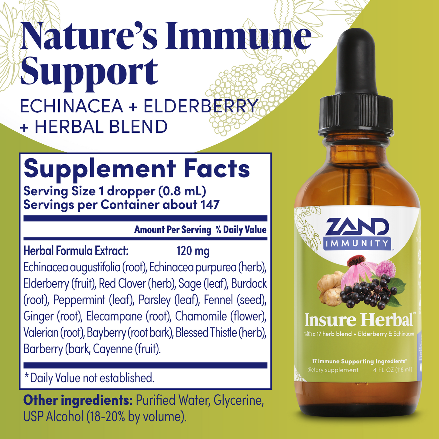 Zand Insure Immune Support, Herbal Liquid Echinacea Supplement, Features Goldenseal, Chamomile, Ginger & Valerian 4 oz (4 Ounce (Pack of 1))