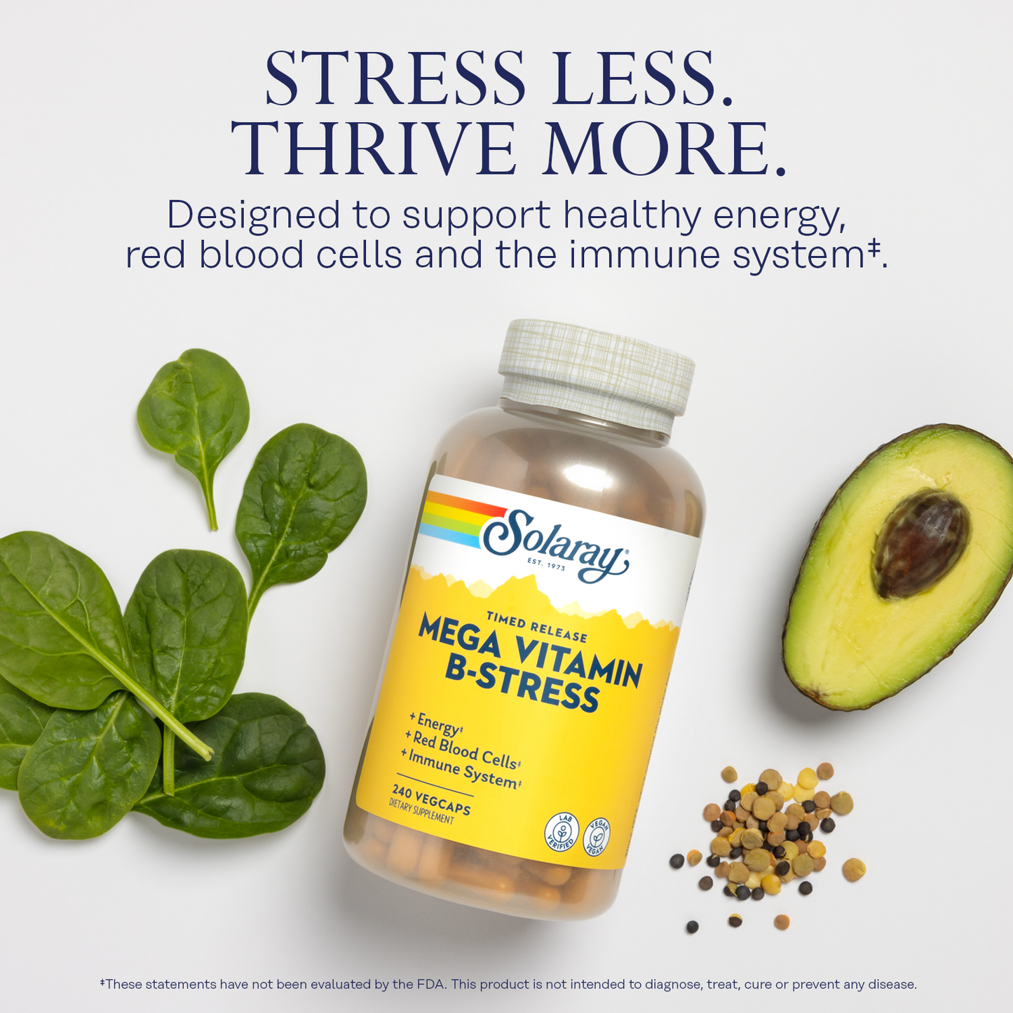 Solaray Mega Vitamin B-Stress, Timed-Release Vitamin B Complex with 1000 mg of Vitamin C for Stress, Energy, Red Blood Cell & Immune Support, Vegan, 60-Day Guarantee, (240 CT)