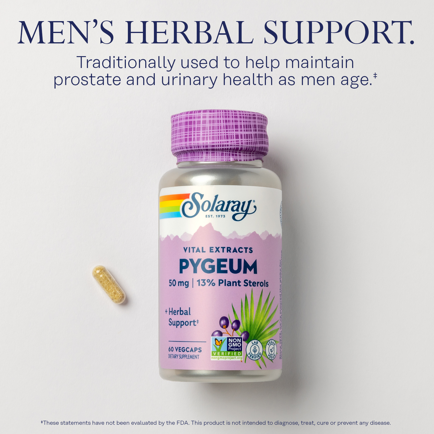 Solaray Pygeum Bark Extract 50mg Healthy Prostate Support Guaranteed to Contain 6.5mg Total Plant Sterols Non-GMO 60 VegCaps