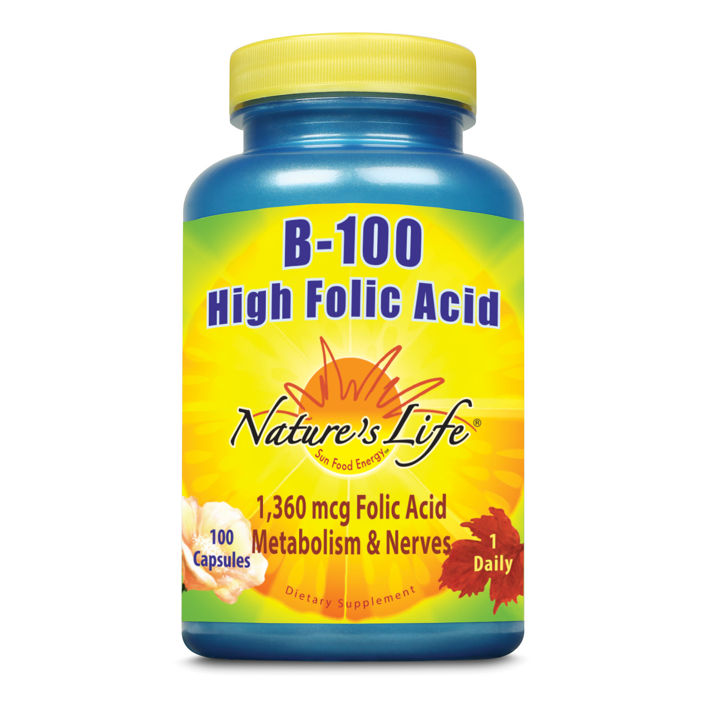Nature's Life B-100 High Folic Acid | 100 ct