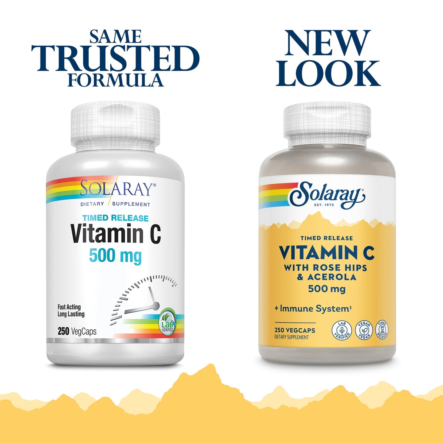 Solaray Vitamin C w/ Rose Hips & Acerola | 500mg | Two-Stage, Timed-Release Healthy Immune Function, Skin, Hair & Nails Support | Non-GMO | 250 CT