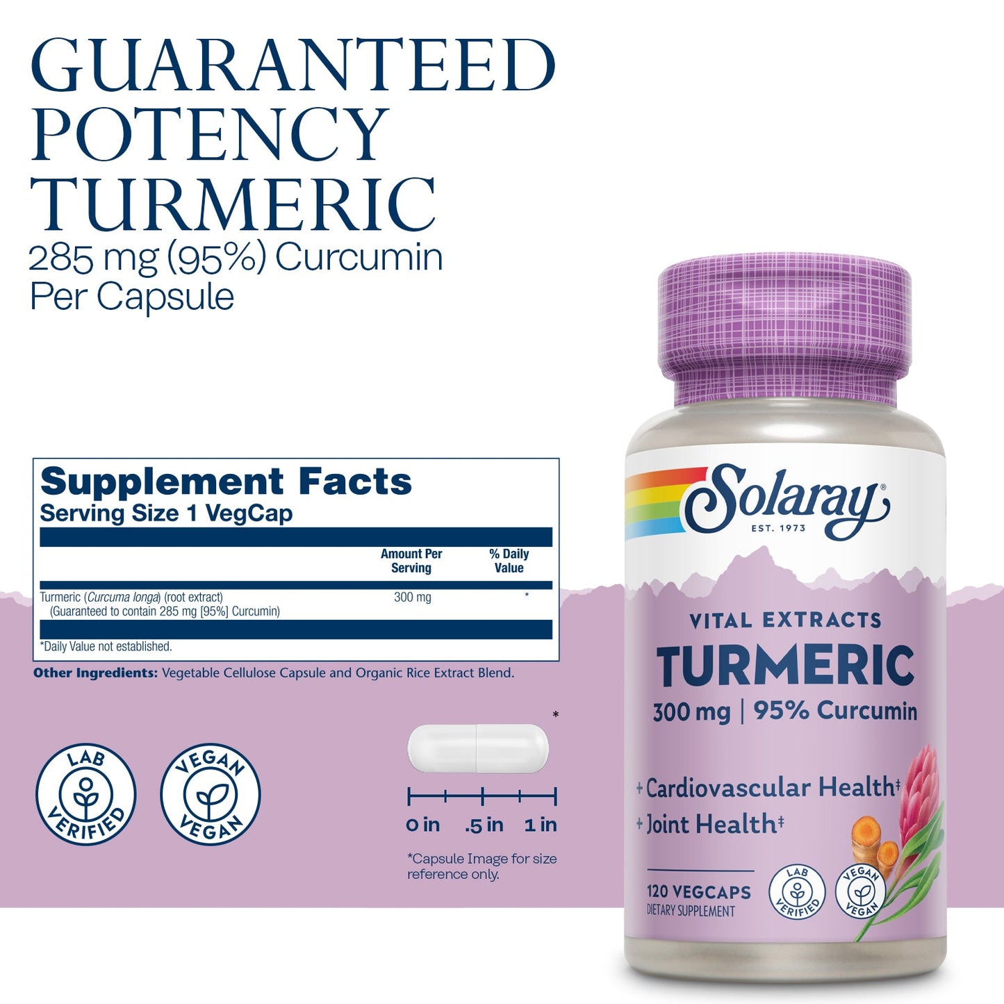 Solaray Turmeric Root Extract 300mg Joint & Heart Health Support Guaranteed Potency Extract (120 CT)