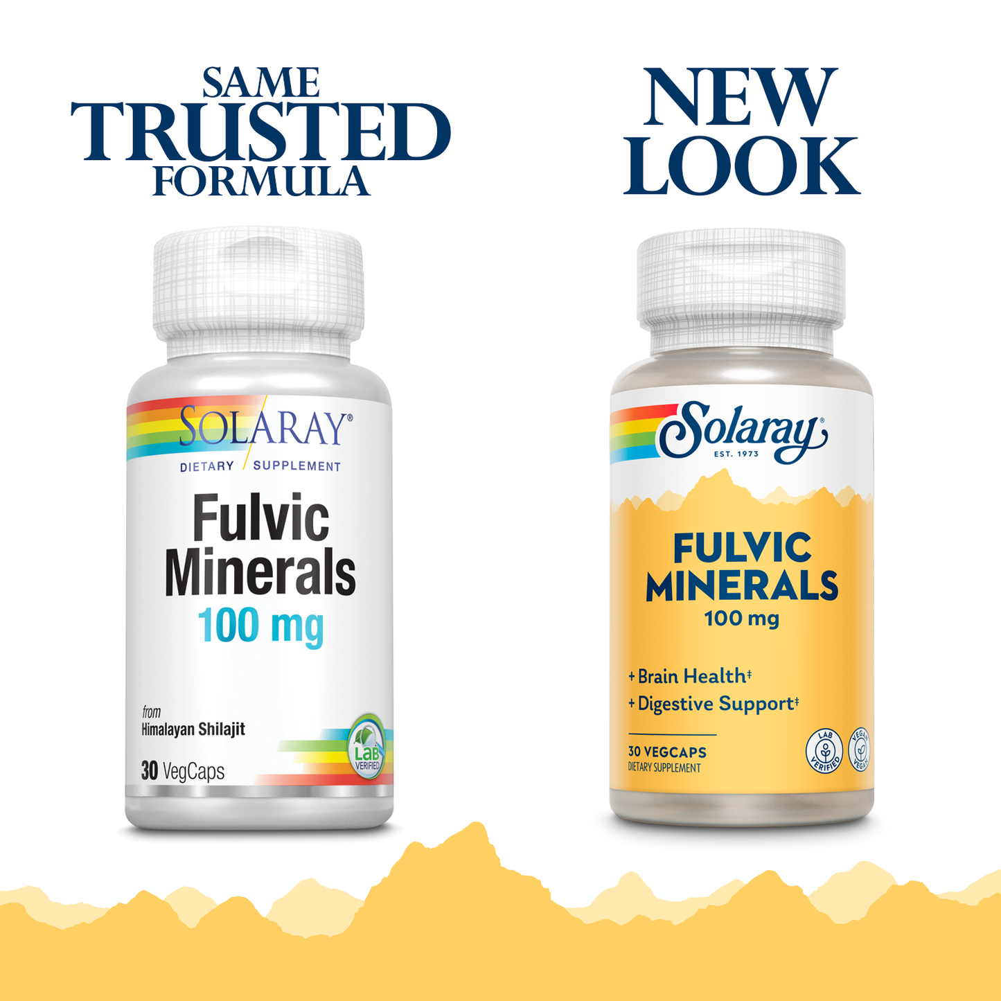 Solaray Fulvic Minerals 100 mg | Himalayan Shilajit | Healthy Digestion, Skin & Brain Support | 30 VegCaps