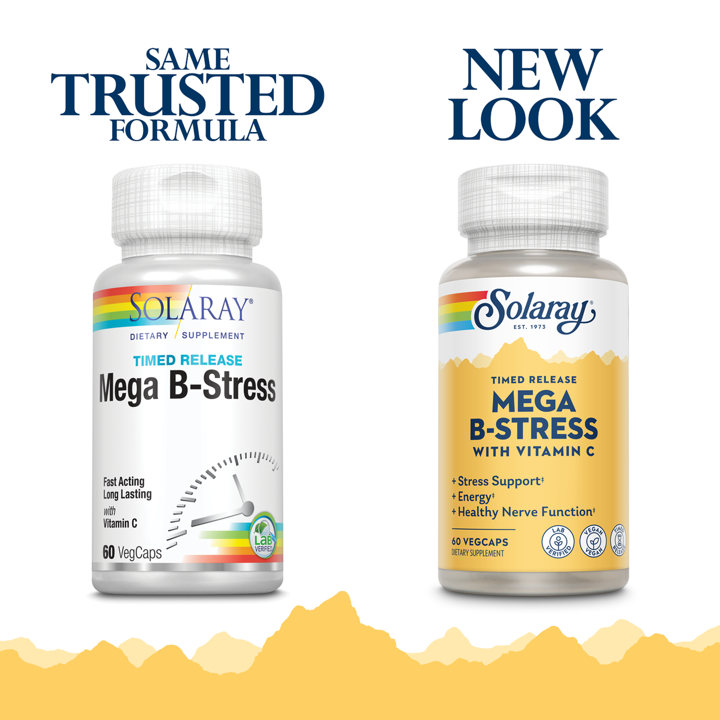 Solaray Mega Vitamin B-Stress, Timed-Release Vitamin B Complex with 1000 mg of Vitamin C for Stress, Energy, Red Blood Cell & Immune Support, Vegan, 60-Day Guarantee, (60 Count (Pack of 1))