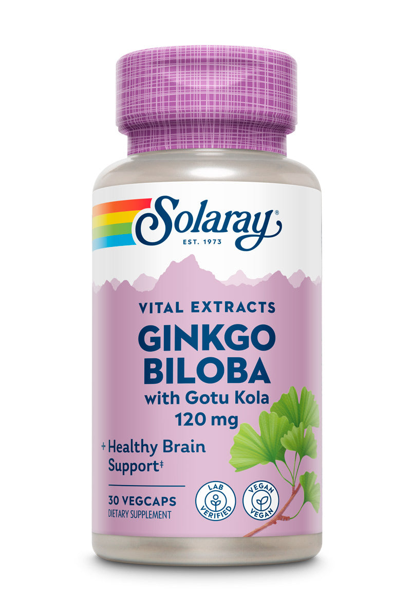 Solaray One Daily Ginkgo Biloba Leaf Extract | Healthy Blood Circulation, Memory & Brain Function Support (60 VegCaps)