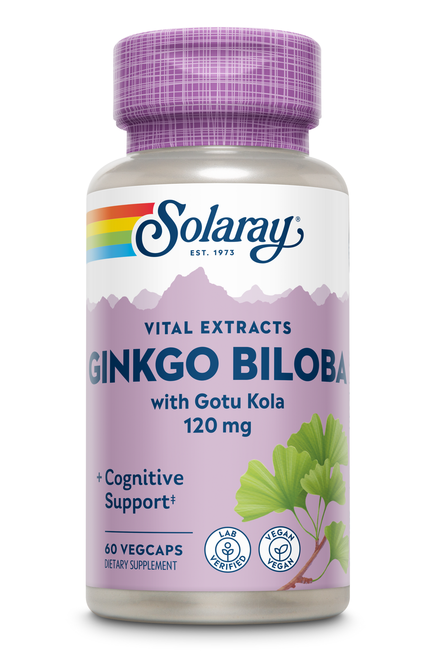 Solaray One Daily Ginkgo Biloba Leaf Extract | Healthy Blood Circulation, Memory & Brain Function Support (60 VegCaps)