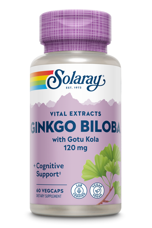 Solaray One Daily Ginkgo Biloba Leaf Extract | Healthy Blood Circulation, Memory & Brain Function Support (60 VegCaps)