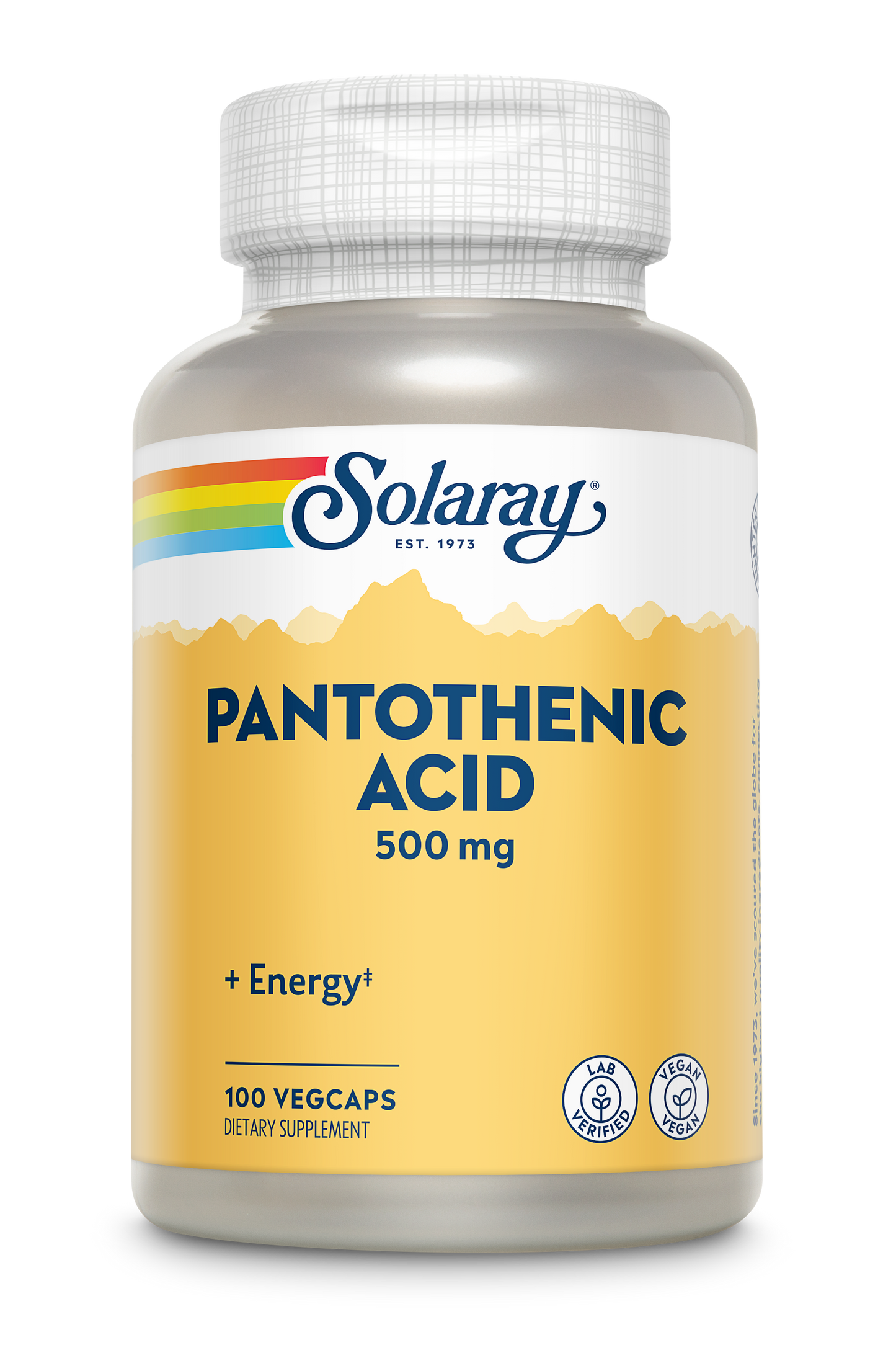 Solaray Pantothenic Acid 500mg Vitamin B-5 for Coenzyme-A Production & Energy Metabolism For Hair, Skin, Nails & Digestive Support 250 VegCaps