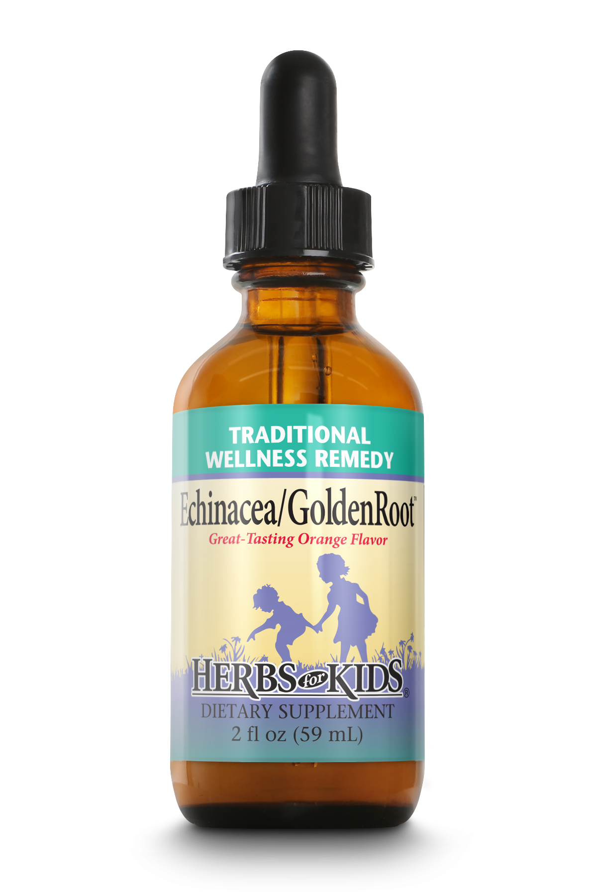 Echinacea/GoldenRoot Blackberry