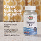 A bottle of kalvitamins Liposomal B12 sits on a surface, with text highlighting “Nerve Function Support,” “2500 mcg of B12,” and “Supports cellular energy.” It’s vegan and gluten free.