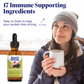 Zand Insure Immune Support, Herbal Liquid Echinacea Supplement, Features Goldenseal, Chamomile, Ginger & Valerian 4 oz (4 Ounce (Pack of 1))