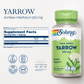 Solaray Yarrow 320 mg, Whole Aerial, Herbal Appetite and Gastrointestinal Function and Comfort Support, Lab Verified, 60-Day Money-Back Guarantee, 100 Servings, 100 VegCaps