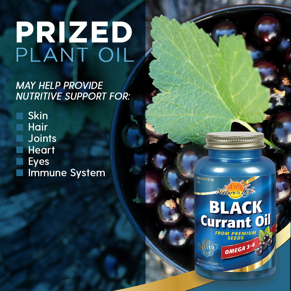 Nature's Life Black Currant Seed Oil 1000 mg | With Omega-3 ALA, Omega-6 GLA and Stearidonic Acid | 60ct