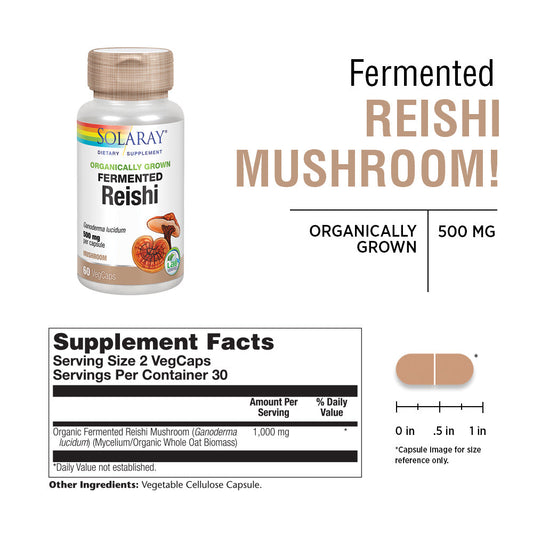 Solaray Fermented Reishi Mushroom 500mg | Healthy Immune, Heart & Brain Function Support | Energy & Mood Supplement | 60 VegCaps