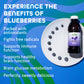 Dynamic Health Blueberry Concentrate, 100% Concentrate, Unsweetened, No Additives, Brain Function, Antioxidant Support, Vegan, Gluten Free, Non-GMO, 16 Fl oz