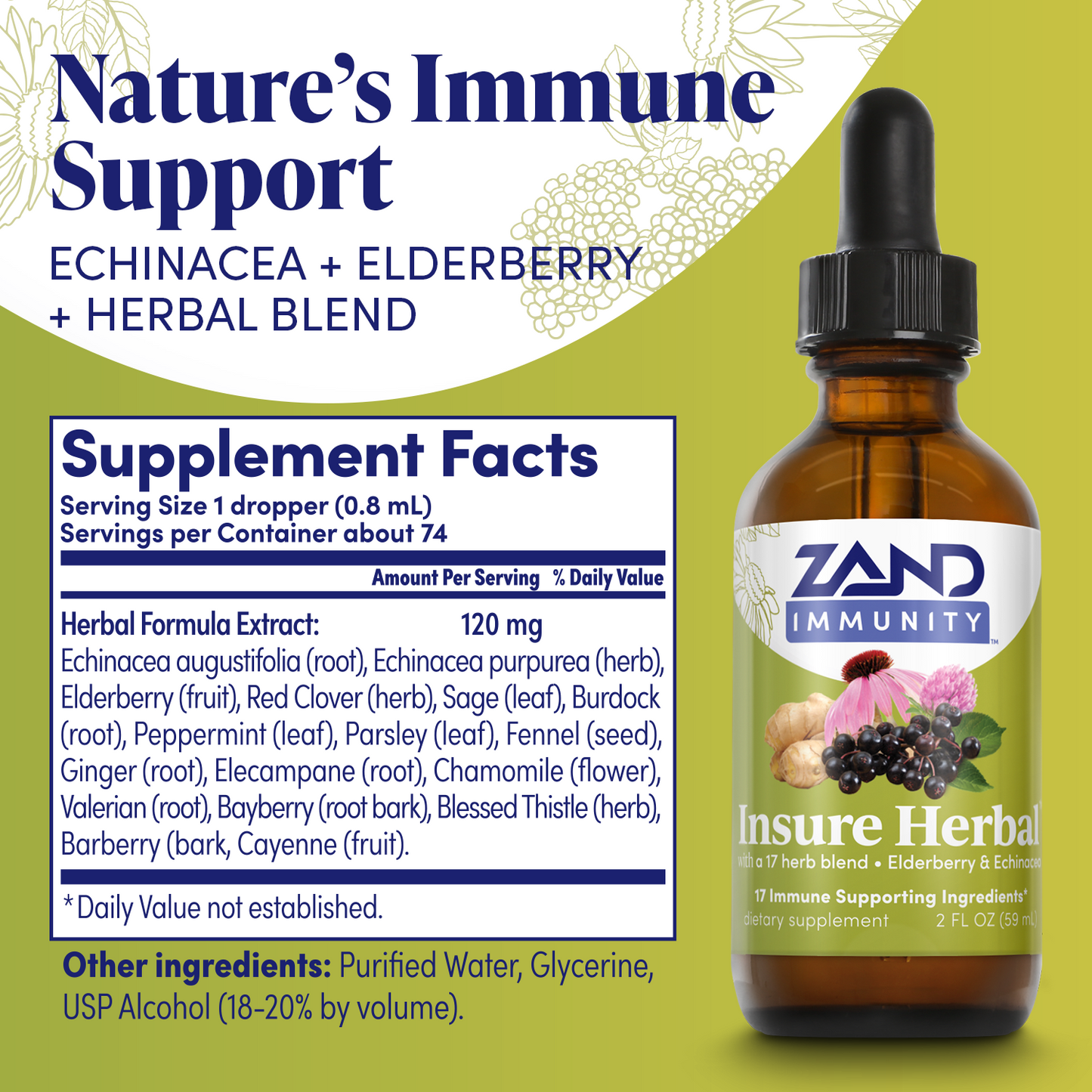 Zand Insure Immune Support, Herbal Liquid Echinacea Supplement, Features Goldenseal, Chamomile, Ginger & Valerian 4 oz (2 Fl Oz (Pack of 1))