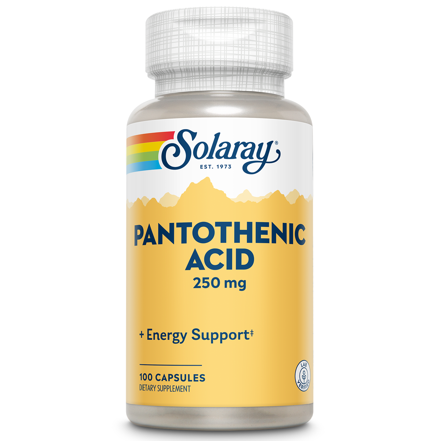 Solaray Pantothenic Acid 250mg | Vitamin B5 | Energy Metabolism, Hair, Skin, Nails & Digestive Support | 100CT