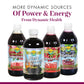 Dynamic Health Maqui Plus Blend | Energy, Vitality and General Health Support | Antioxidants, Omega Oils and More | 32oz, 32 Serv