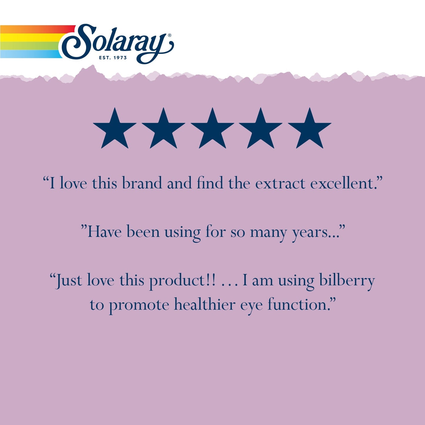 Solaray Bilberry Berry Extract 60 mg | Powerful Antioxidant | Healthy Vision & Circulation Support | 60 VegCaps