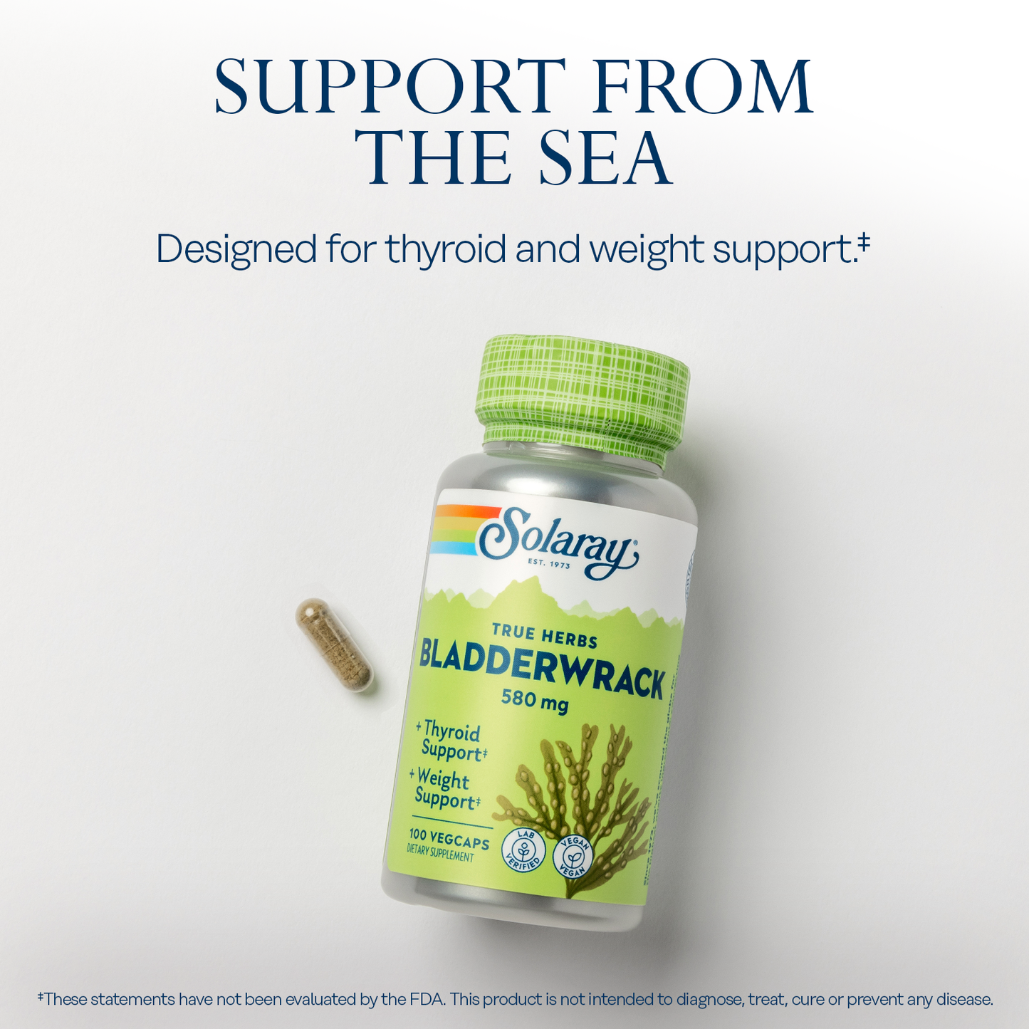 Solaray Bladderwrack Seaweed 580 mg Healthy Thyroid Balance and Weight Management Support Non-GMO & Vegan 100 VegCaps