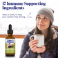 Zand Insure Immune Support, Herbal Liquid Echinacea Supplement, Features Goldenseal, Chamomile, Ginger & Valerian 4 oz (2 Fl Oz (Pack of 1))