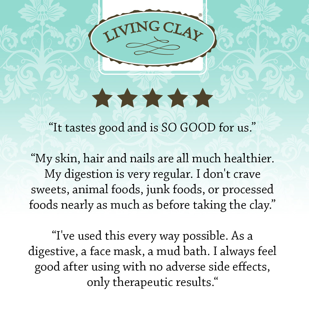 Living Clay Detox Clay Powder | All-Natural Bentonite Calcium Clay for Internal & External Deep Cleansing | Perfect for Mask, Bath or Wrap (16 oz)