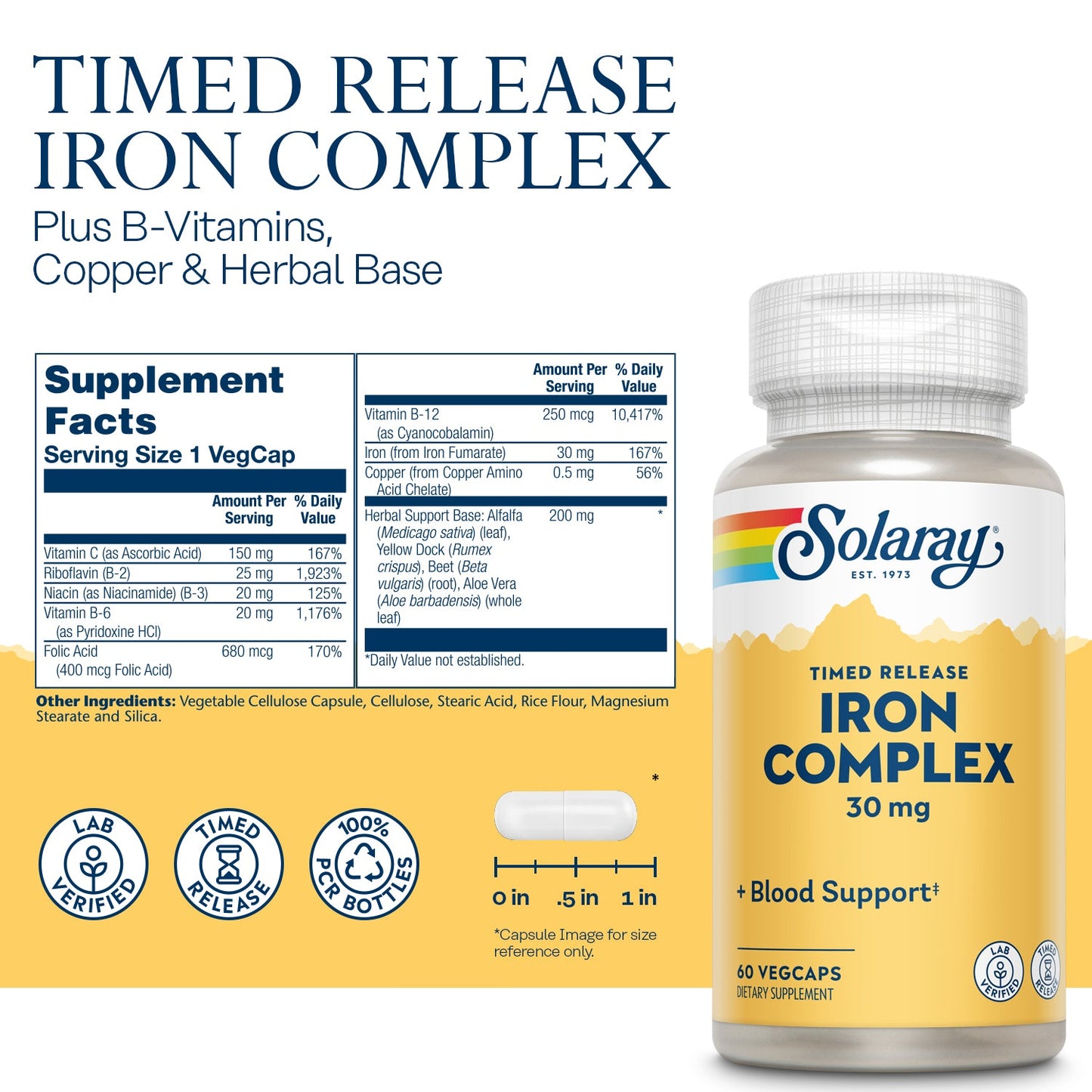 Solaray Iron Complex, Timed Release, Healthy Circulation, Red Blood Cell & Cardiovascular Support, 60 Serv, 60 VegCaps
