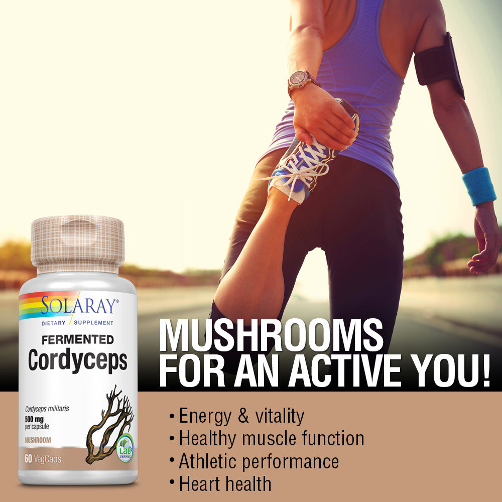 Solaray Fermented Cordyceps Mushroom 500 mg | Healthy Heart Function, Energy & Stamina Support | 60 VegCaps, 30 Servings