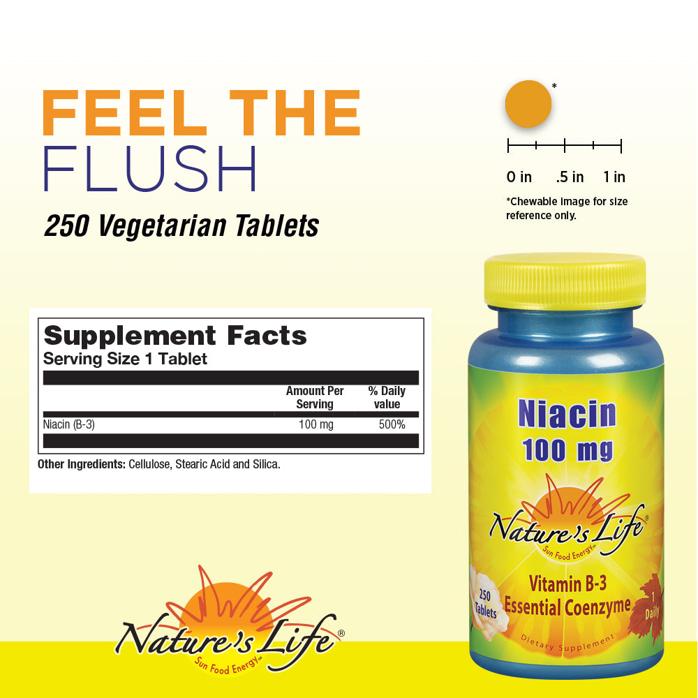 Natures Life Niacin 100mg | Vitamin B3 Supplement | Healthy Blood Lipid, Circulation & Skin Support | 250CT