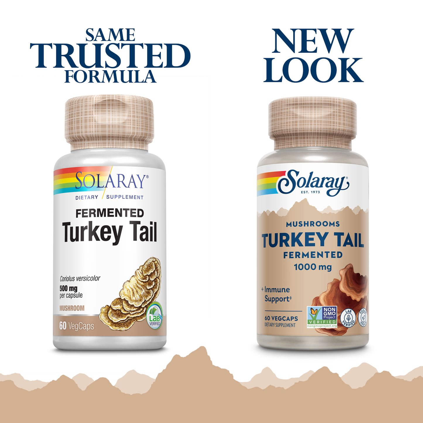 Solaray Fermented Turkey Tail Mushroom 500mg | 60 VegCaps