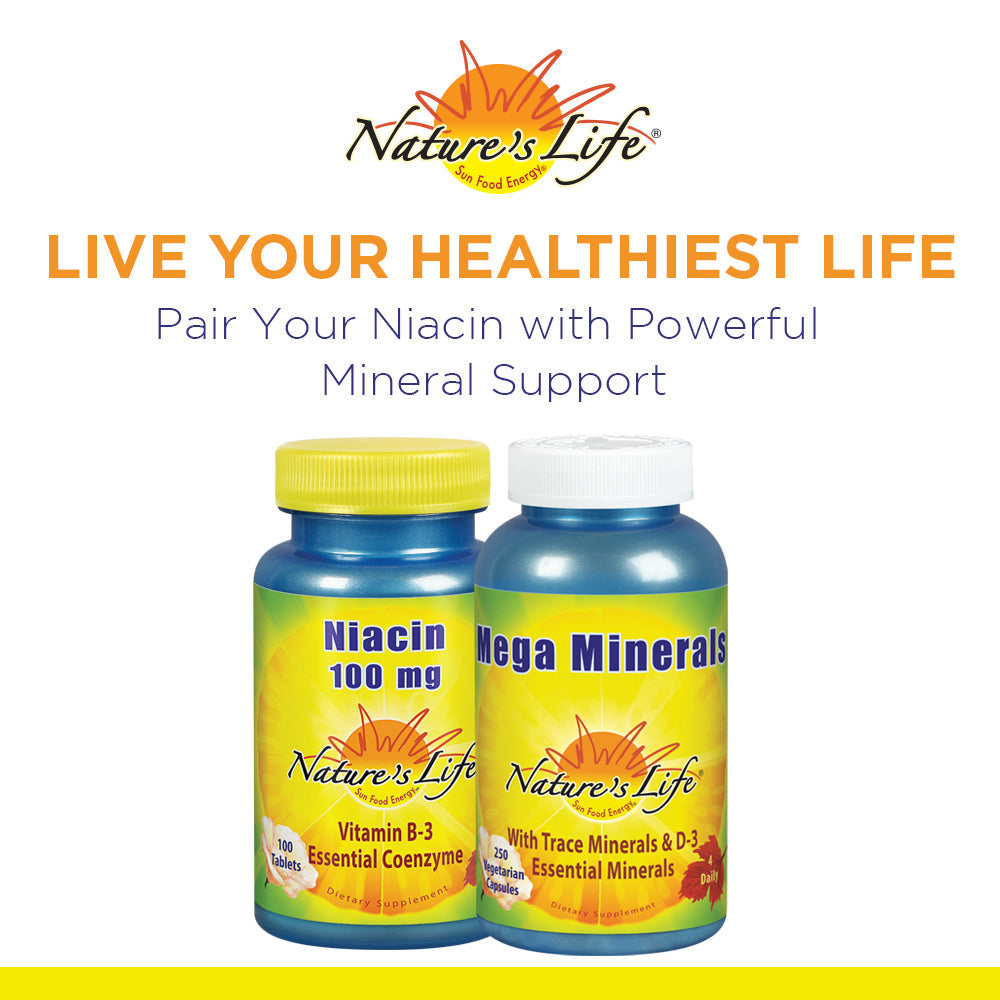 Nature's Life Niacin 100mg | Vitamin B3 Supplement | Healthy Blood Lipid, Circulation & Skin Support | 100CT