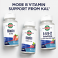 KAL B12 1000 mcg DropIns, High Absorption Liquid B12 Vitamin, Healthy Energy Supplements for Metabolism, Heart Health, Nerve, Red Blood Cell Support, Natural Grape Flavor B12 Drops, 196 Servings, 2oz