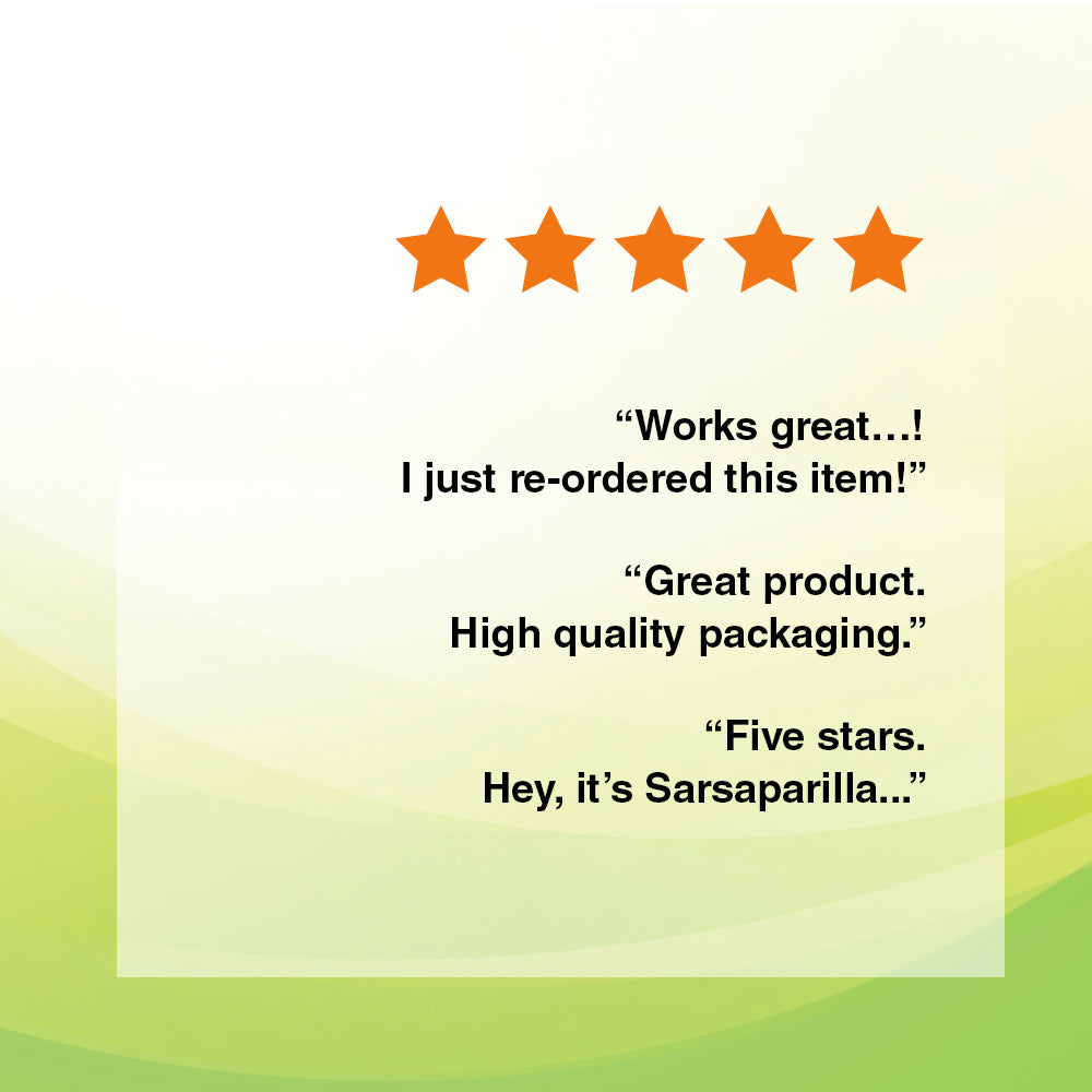 Nature's Life Sarsaparilla Root 450 | Energy and Mood Support | Joint and Skin Health Formula, Non-GMO, 100 CT