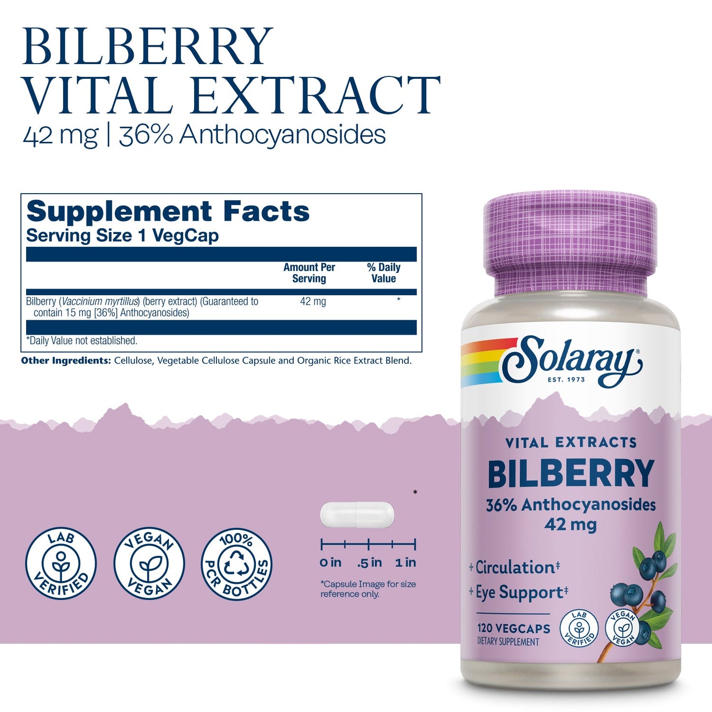 Solaray Bilberry Berry Extract 42 mg, Eye Health & Circulation Support, With 36% Anthocyanosides, Vegan, 120 VegCaps