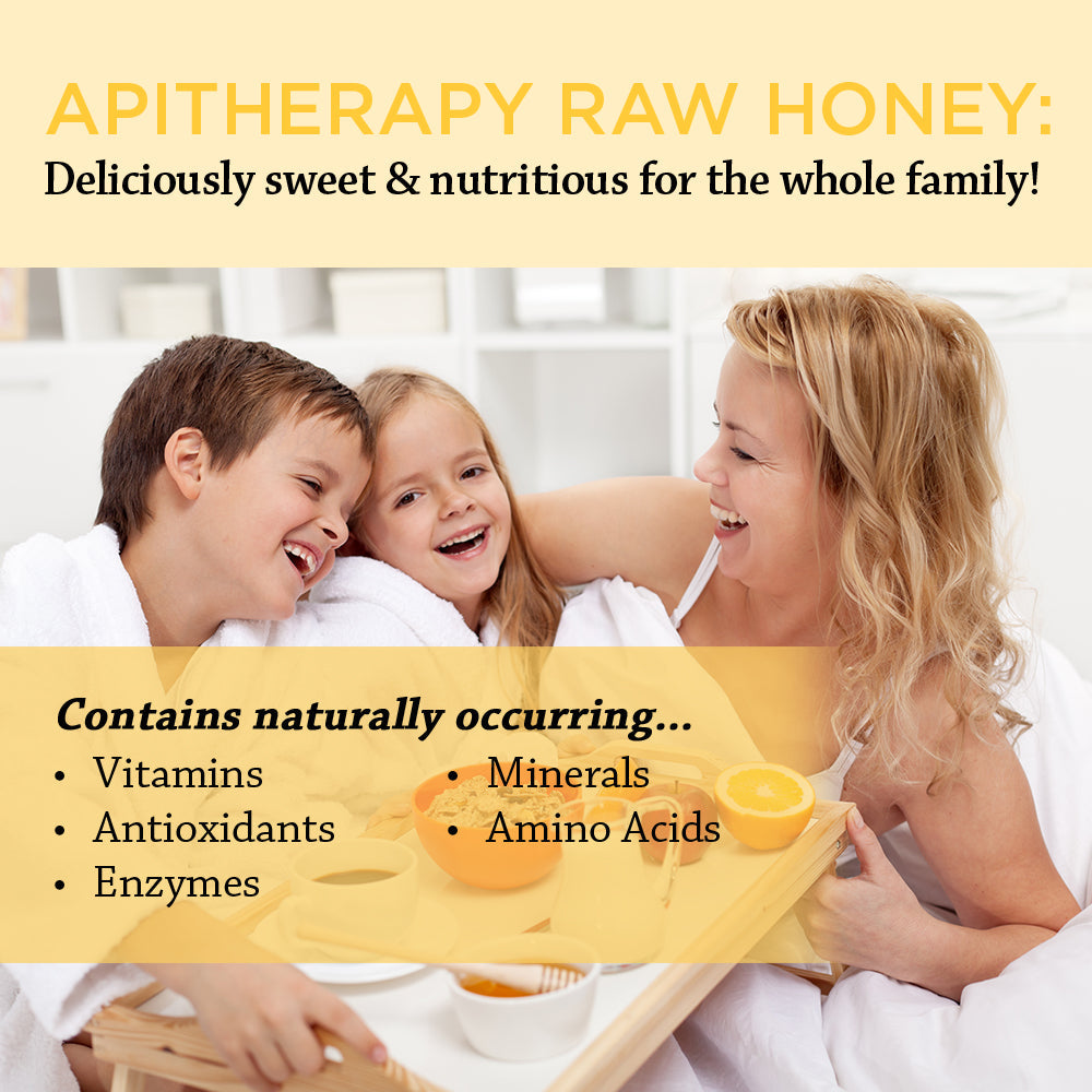 Honey Gardens Apitherapy Blueberry Raw Honey | 100% Pure, US Grade A, Unheated & Unfiltered | 21 Serv | 1 lb Jar