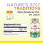 Nature's Life Sarsaparilla Root 450 | Energy and Mood Support | Joint and Skin Health Formula, Non-GMO, 100 CT