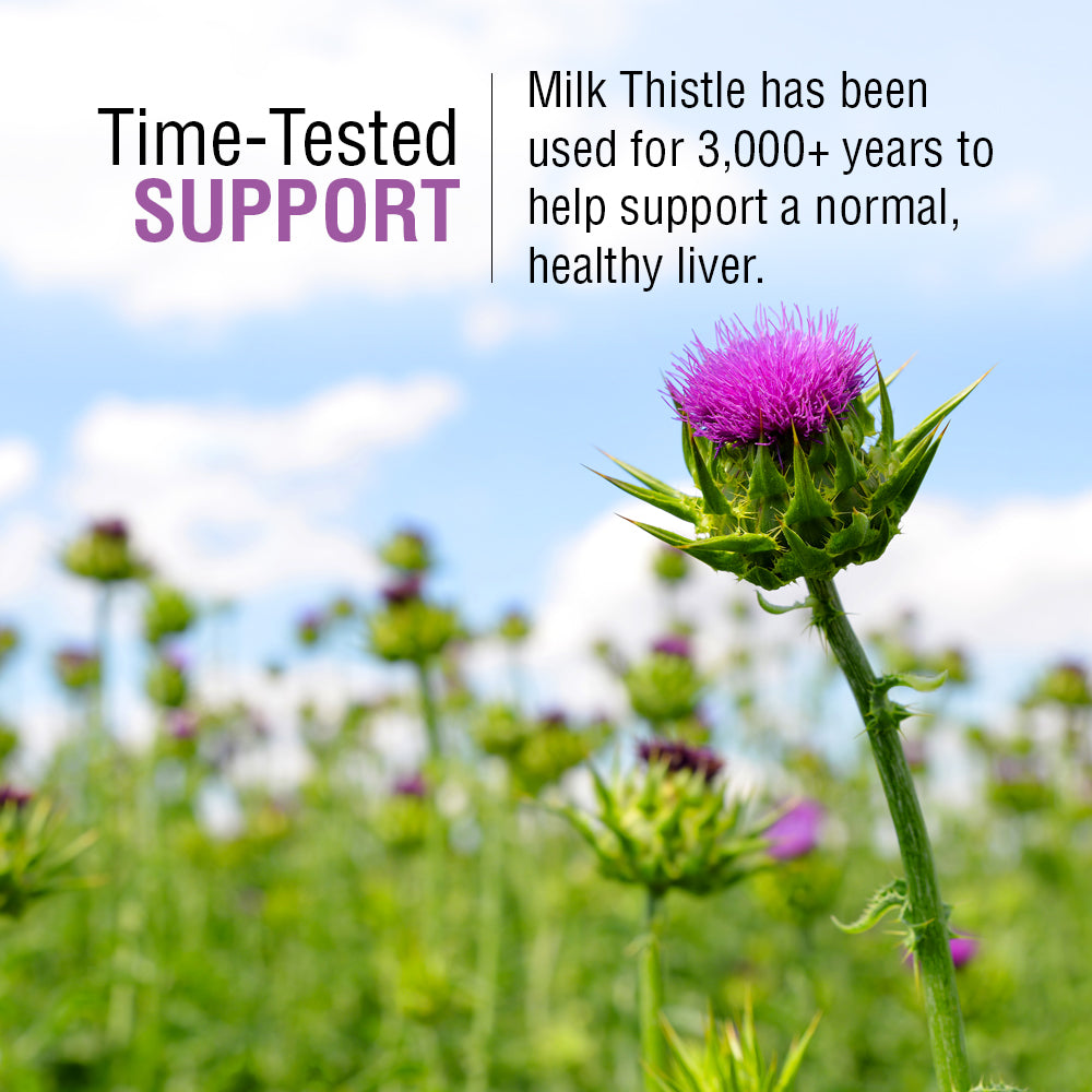 Solaray Milk Thistle Seed Extract 175mg Antioxidant Intended to Help Support a Normal, Healthy Liver Non-GMO & Vegan (60 CT)