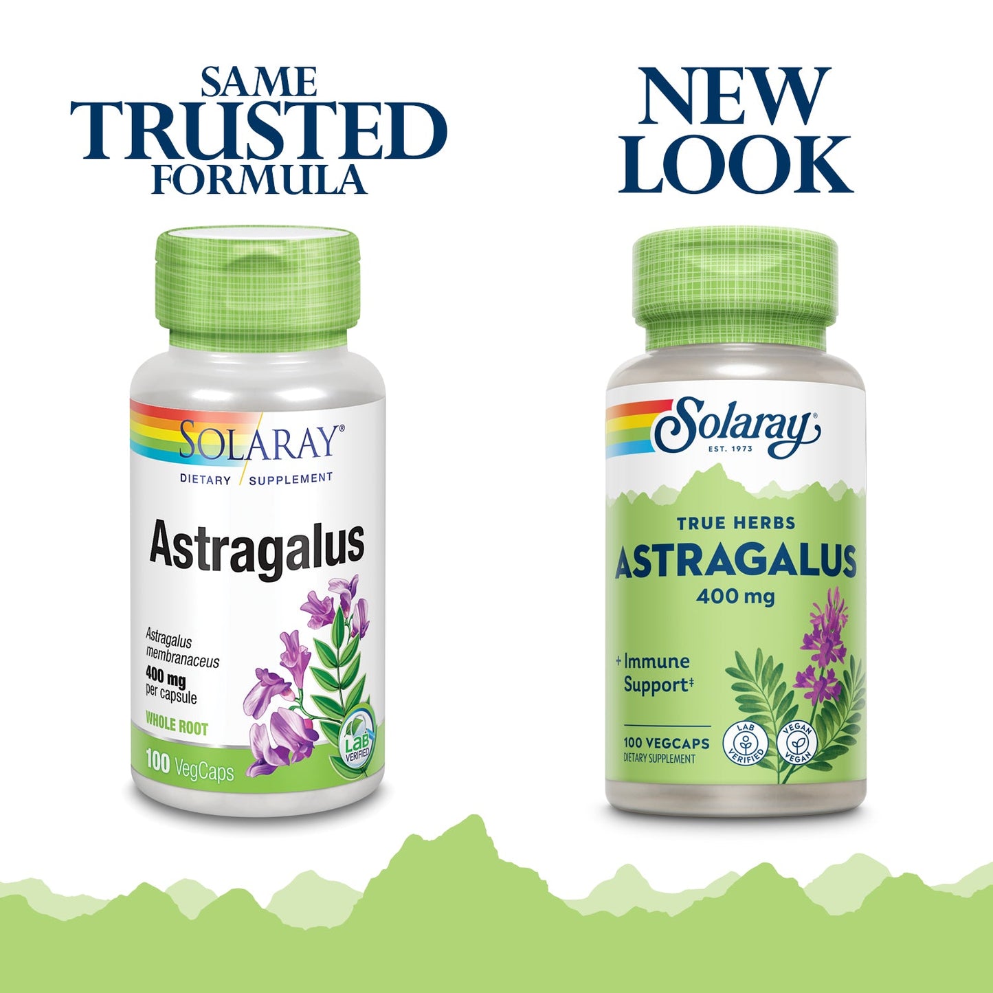 Solaray Astragalus Root 400mg | Healthy Immune Function & Stress Support | Adaptogen Herb | Non-GMO, Vegan & Lab Verified | 100 VegCaps