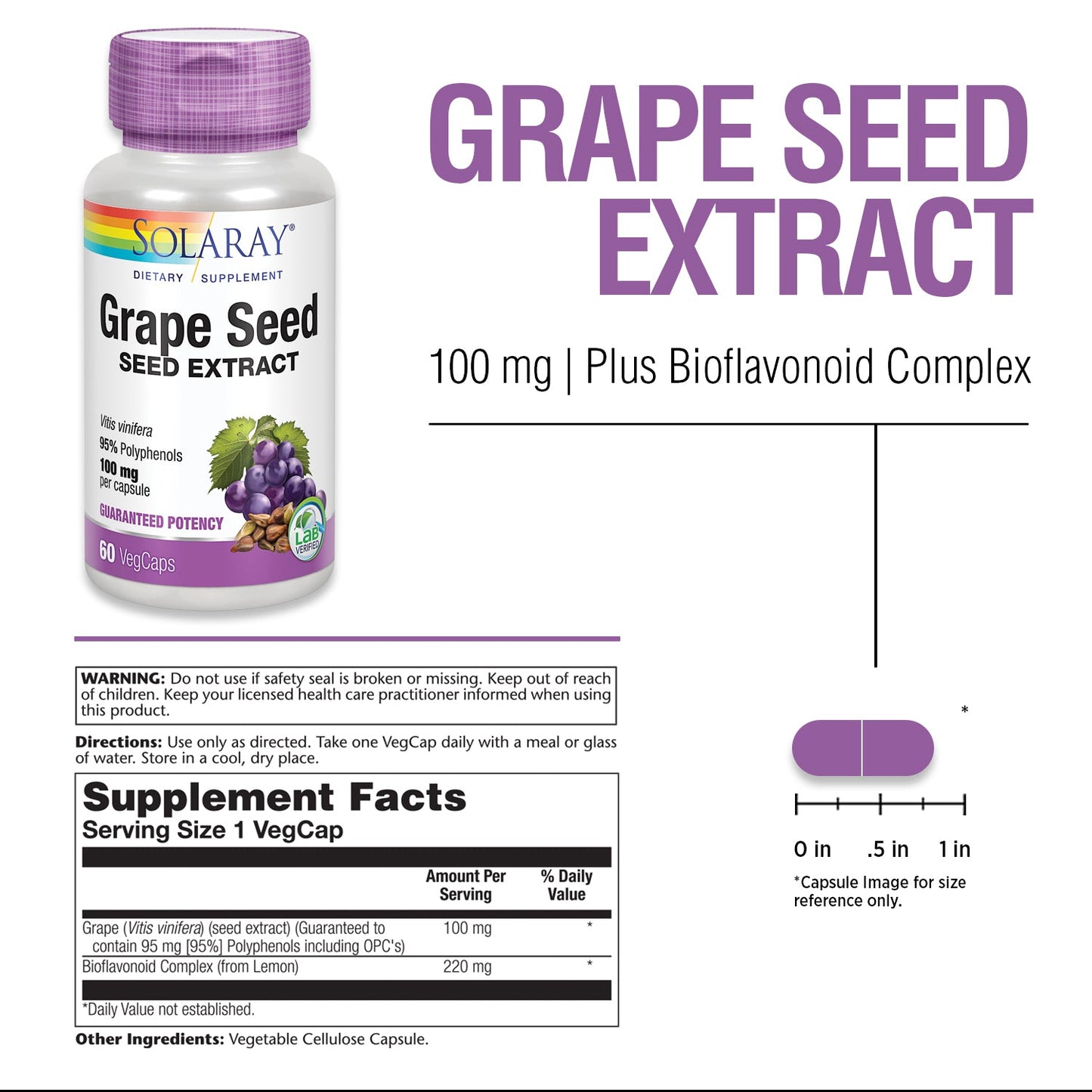 Solaray Grape Seed Extract 100 mg Plus Bioflavonoid Complex | Healthy Cardiovascular & Blood Vessel Support | 60 VegCaps